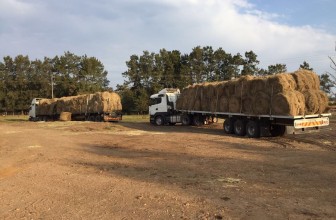 Eastern Cape Relief – AFGRI says thank you