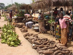 Agribusinesses and African Smallholders Seize $1 Trillion Food Market as Meals Replace Minerals to Restart African Economic Growth, New Report