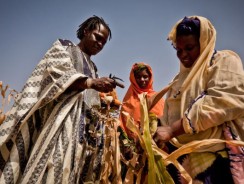 U.S $500 Million Invested In Agriculture Sector