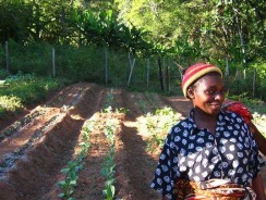 Learn lessons from success to beat malnutrition in Africa, advise experts