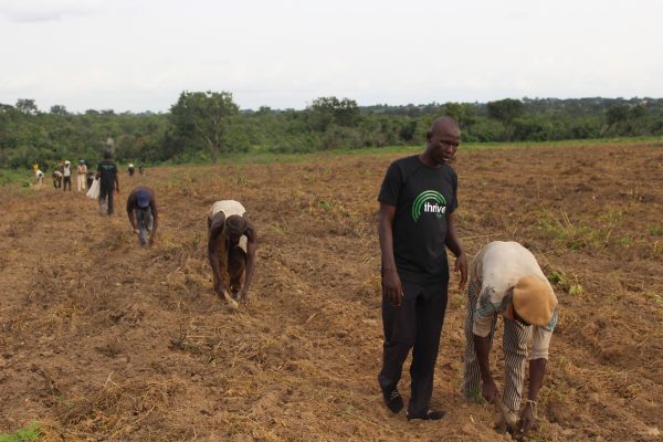How Nigeria’s Thrive Agric is crowdfunding farmers