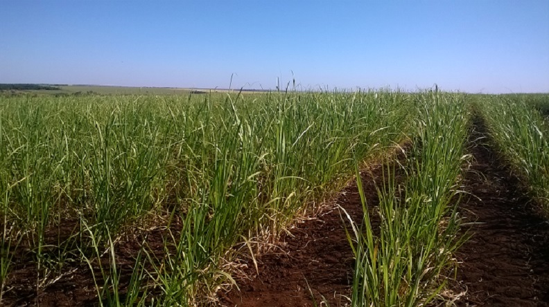 Omex Agrifluids at Agritech Expo Zambia 2018