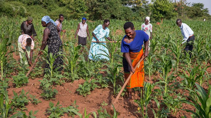 Women Deserve More Recognition in Farming