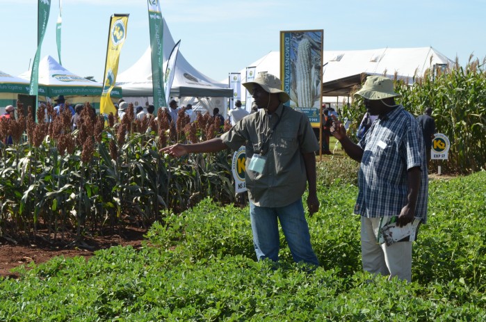 e-FISP initiative prime example of Zambian government and agri working together – Musika