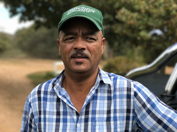 Hail and sunburn impact the exportable 2018 South African crop