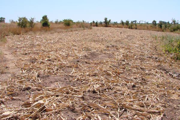Zambia to revoke 35 000 land offer letters
