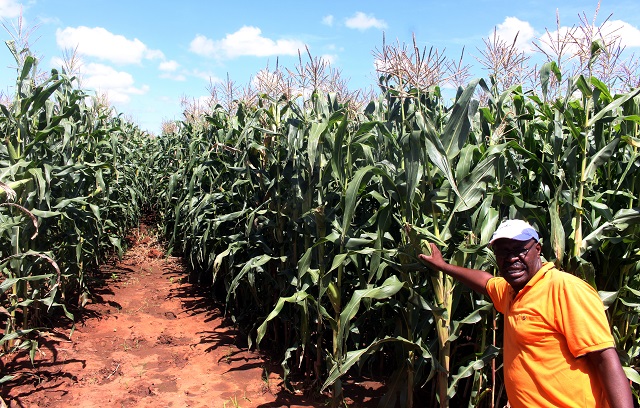 Command agriculture face collapse-Land Minister hint