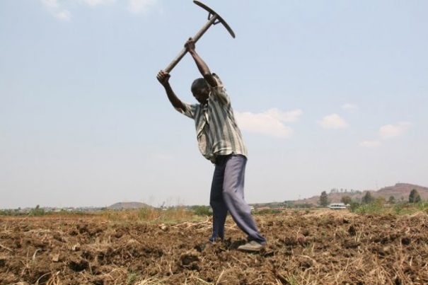 Land dynamics in Africa: What is the potential for agricultural expansion?