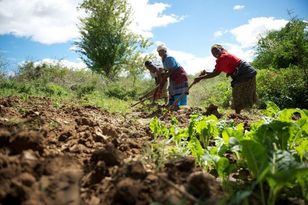 Foreigners cash in on weak Zambian land policies, says lobby group