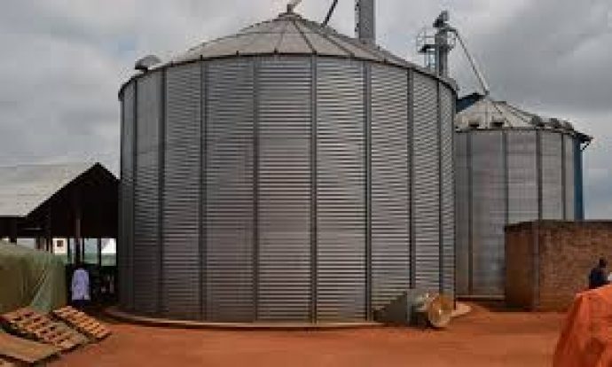 Proper Maize Post-harvest practices