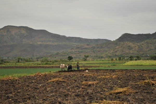 Israel –Ethiopia to work together to improve agriculture