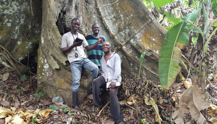 Kenya and Nigeria share limelight as top agri-tech giants in Africa