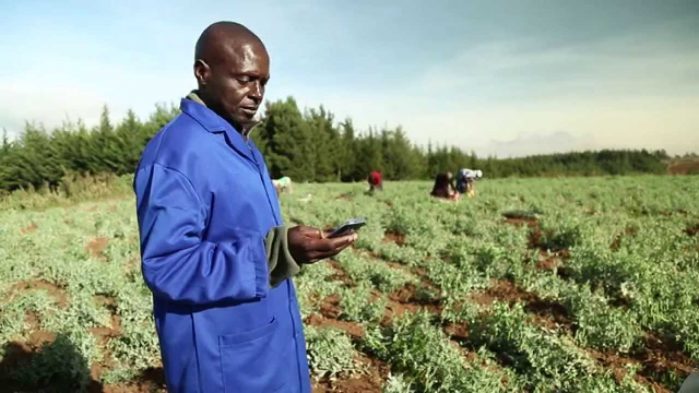 Digital farming in Kenya