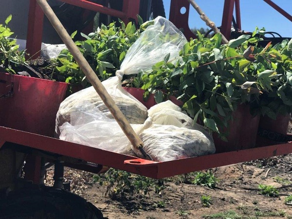 I-CAT plants seeds of success in agriculture, forestry, and horticulture