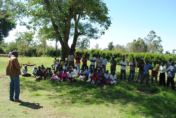 Cooperatives for inclusive agricultural growth in Africa