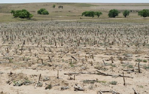 Negative effects of Western Cape drought on South Africa’s agricultural economy
