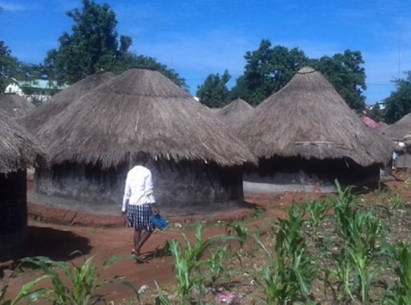 The question of land grabbing for commercial agriculture in Uganda