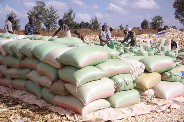 NCPB facing difficulties in selling imported maize