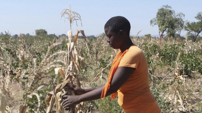 Rising temperatures will push millions of people in Africa into poverty and hunger unless governments take swift action