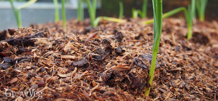 Mulching