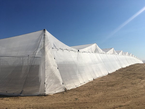 “Net-House”: ARRIGONI brings innovation to EIMA 2018