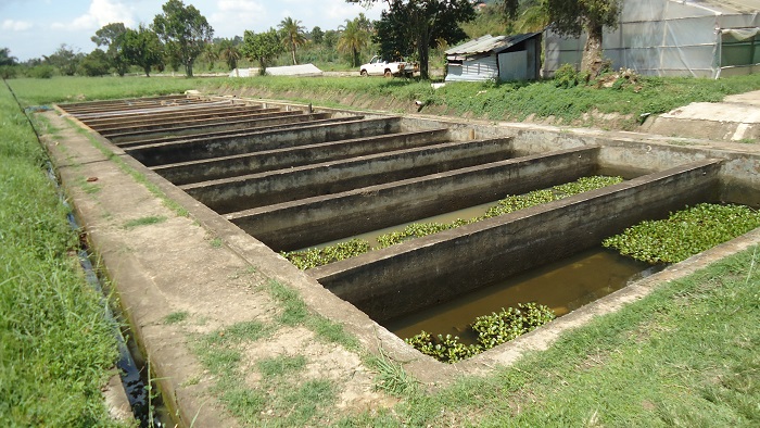 Ugandan government to invest US $2.3m in the country’s fishing sector