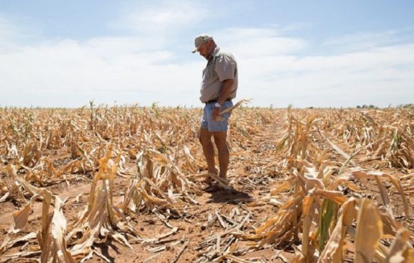 AgriSA to source US $220m for farmer hit by severe drought in South Africa