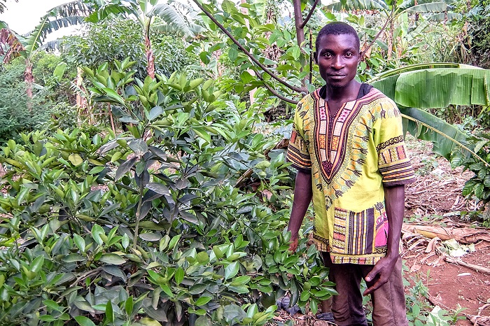 The SUM-Africa project for smallholder farmers in Uganda sets higher targets for 2019