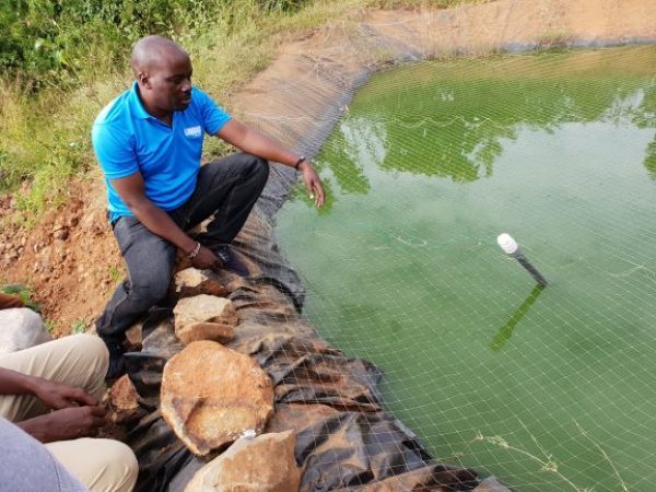 Liquid Telecom Kenya’s IoT network enables fish farmers to monitor ponds and increase production