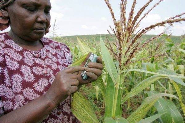 Four tech trends impacting agriculture in 2019