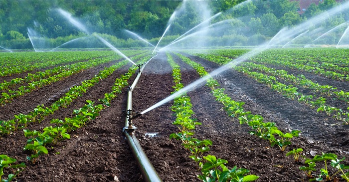 Uganda government to construct over 70,000 irrigation schemes to improve agricultural production