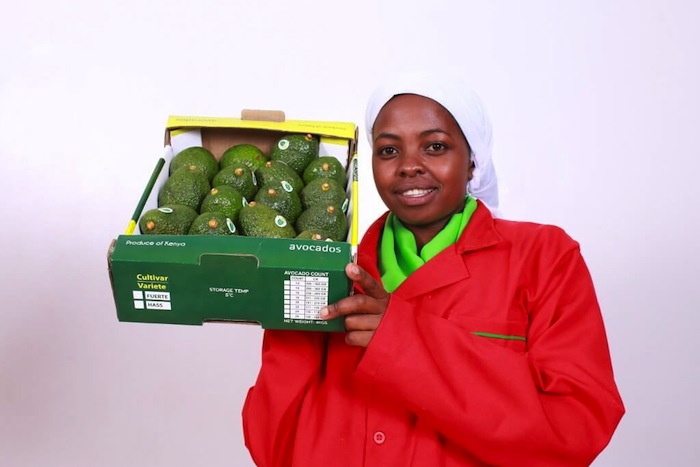 Mauritius lifts ban on Kenyan avocadoes