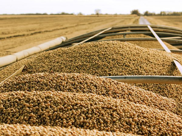 Demand for plant based products increase to a whooping 140%