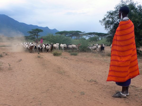 Tanzania and IFAD strengthen partnership for reducing rural poverty