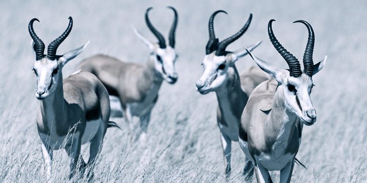 Getting the bang out of your bucks is a risky business, even if you’re insured