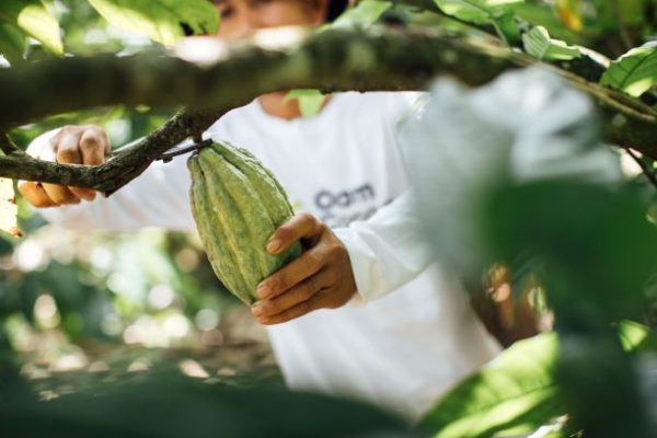 Innovation and creativity is the driving force behind Olam Cocoa