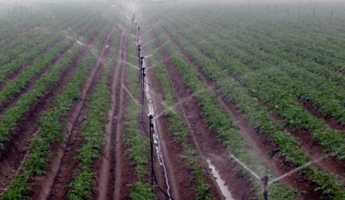 Irrigation E3 program provides winners with unique experience at the Irrigation Show