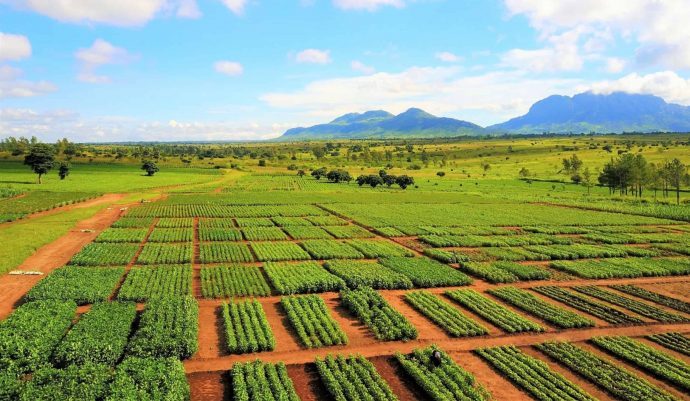 ‘$10bn to feed 10 billion by 2050’, CABI tells AGRF