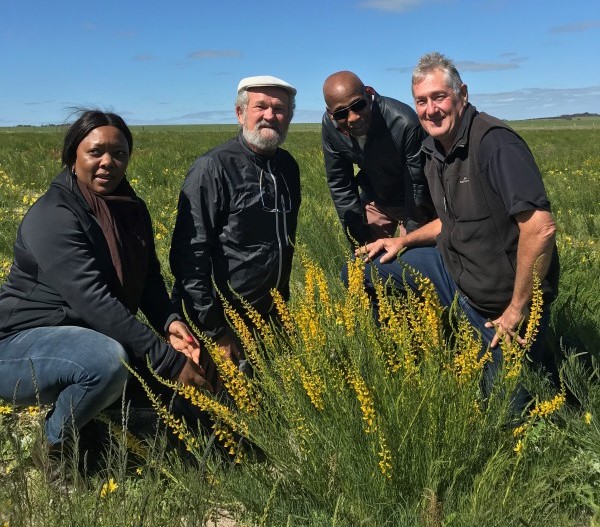 The scientific breakthrough that could turn Australia’s arid land into green pasture