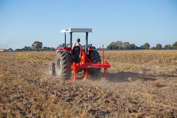 Oped : Cease the big window of opportunity this planting season!