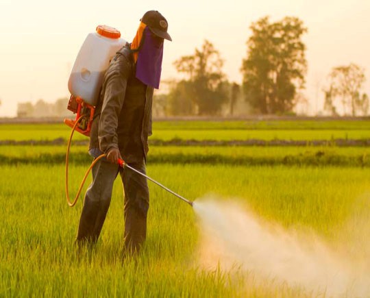 Agrochemicals Market at a compound annual growth rate (CAGR) of 4.5%, from 2016 to 2021