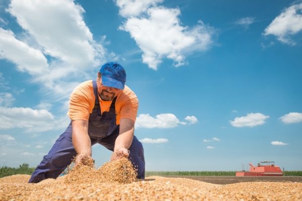 Bayer launches latest fungicide innovation, iblon™ technology