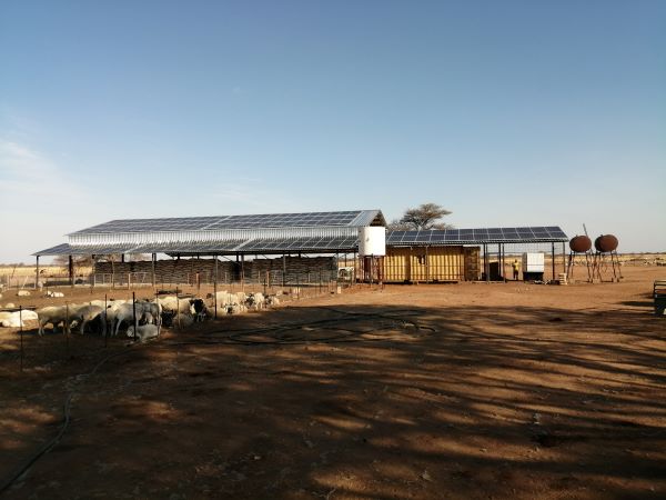 Drought-stricken farmers harness solar power to produce livestock feed from the bush