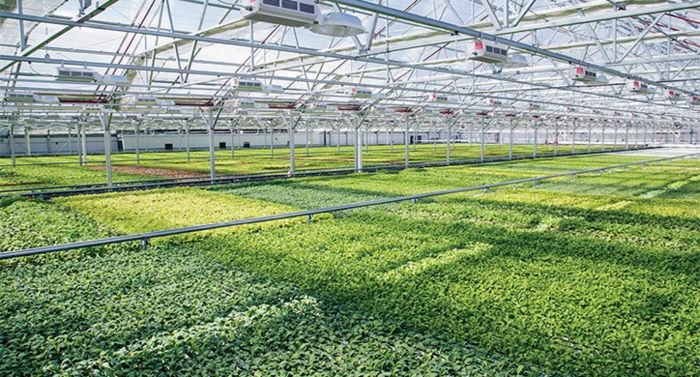 Global Indoor Farming Technology Market is projected to reach $12.02 Billion by 2024 according to a new research report
