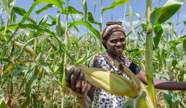 Opportunities in African Food and Agriculture