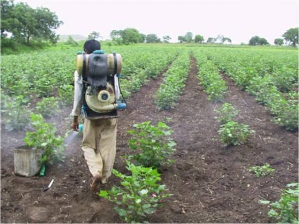 Agricultural industry alliance supports government’s new pesticide legislation