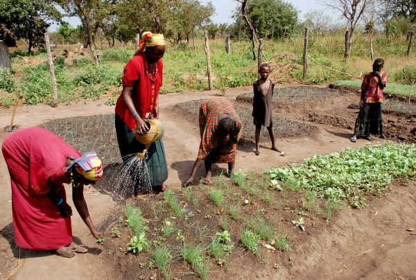 Sudan and IFAD to help smallholder farmers adapt to climate change and manage natural resources