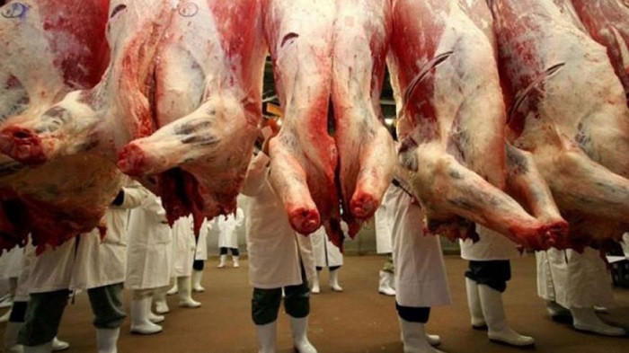 Government of Zimbabwe bans imports of livestock and pigs from South Africa