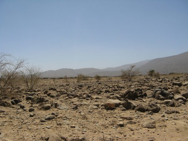 Ethiopia and IFAD to help families adapt to climate shocks in new multi-million dollar project