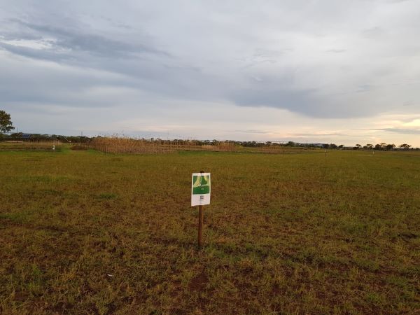 Preparations for the 7th edition of the leading outdoor agriculture machinery trade fair in Sub Saharan Africa in full swing :AgriTech Expo 2020: